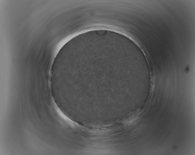 X0000116481535200912231120