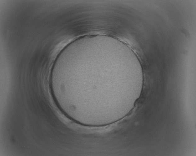 X0000116480001200912292055