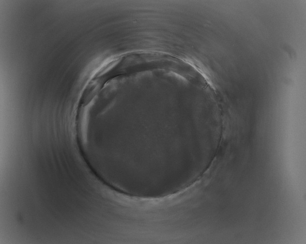 X0000116480002200912292055