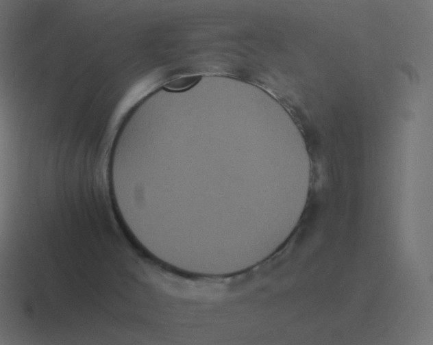 X0000116480004200912292055