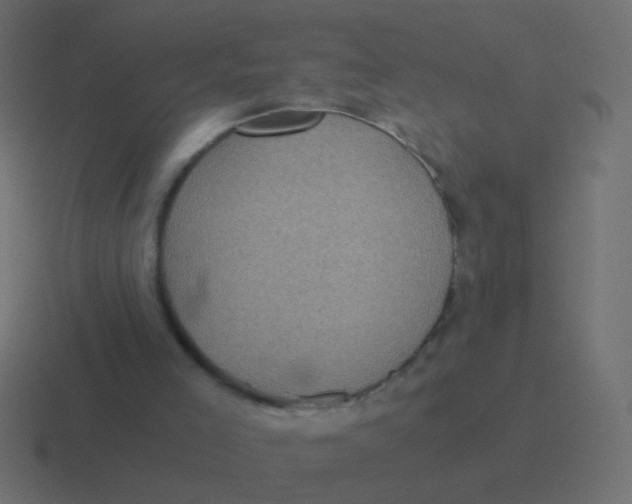 X0000116480005200912292055