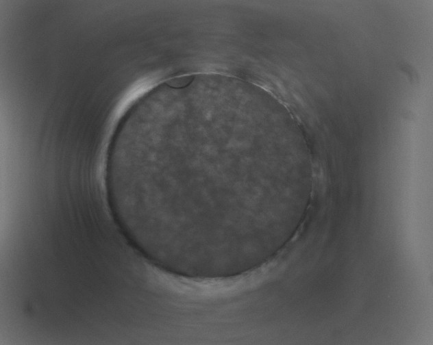 X0000116480006200912292055