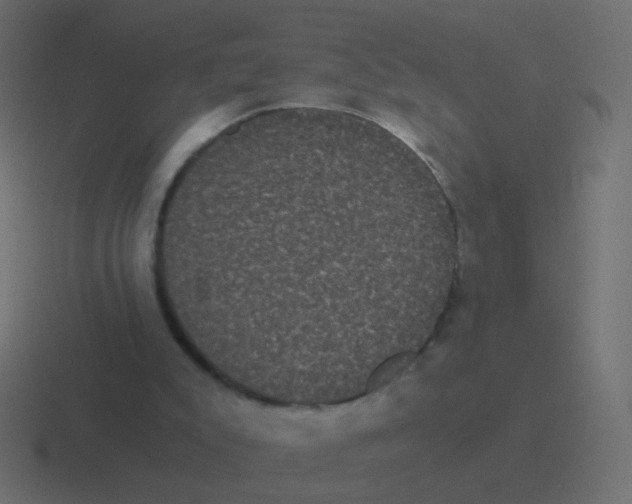 X0000116480007200912292055