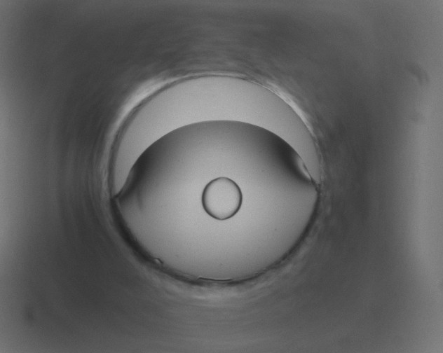 X0000116480008200912292055