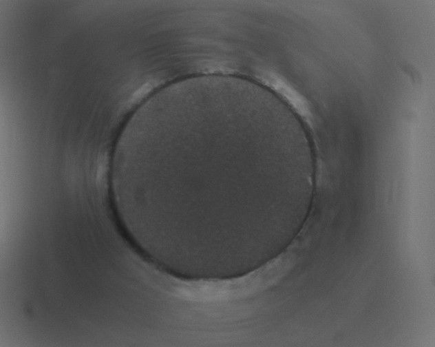 X0000116480009200912292055