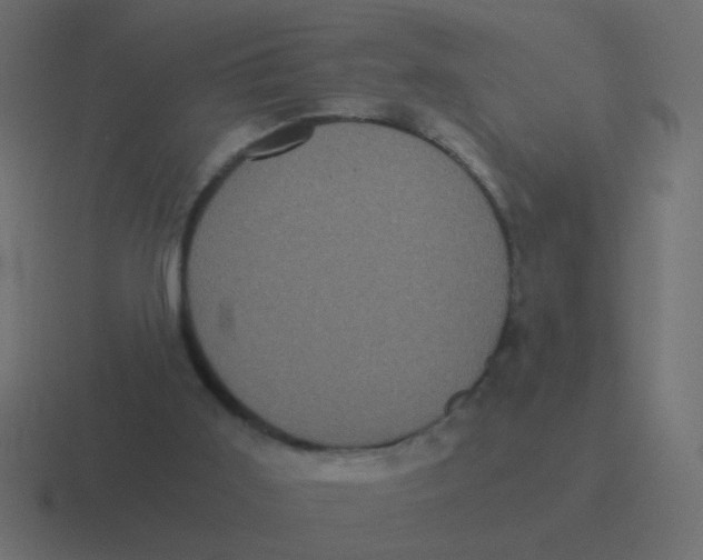 X0000116480011200912292055