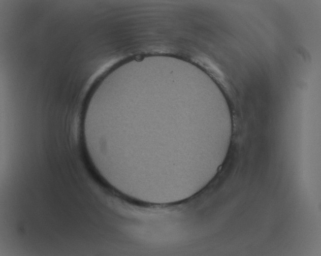 X0000116480012200912292055