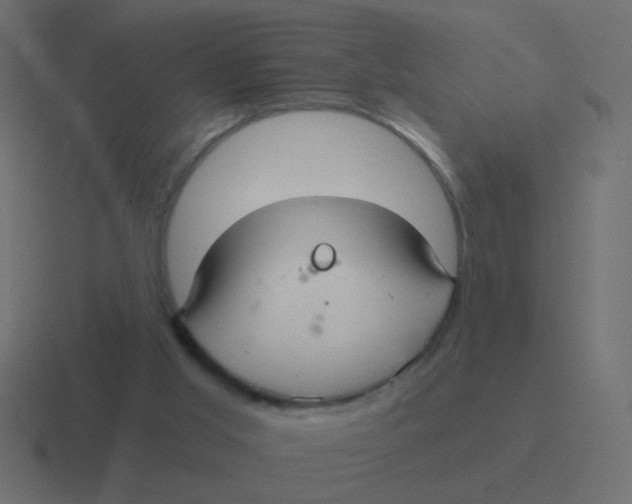 X0000116480013200912292055