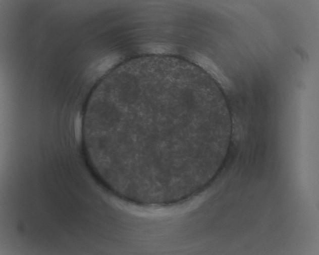 X0000116480014200912292055