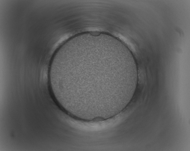 X0000116480015200912292055