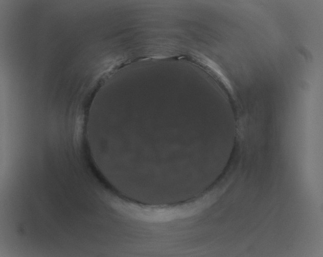 X0000116480018200912292055