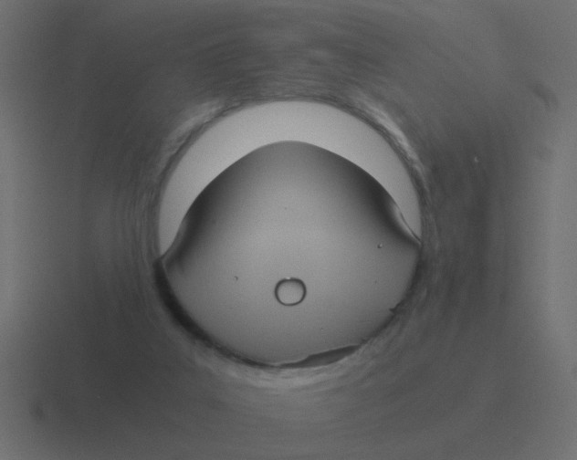 X0000116480019200912292055