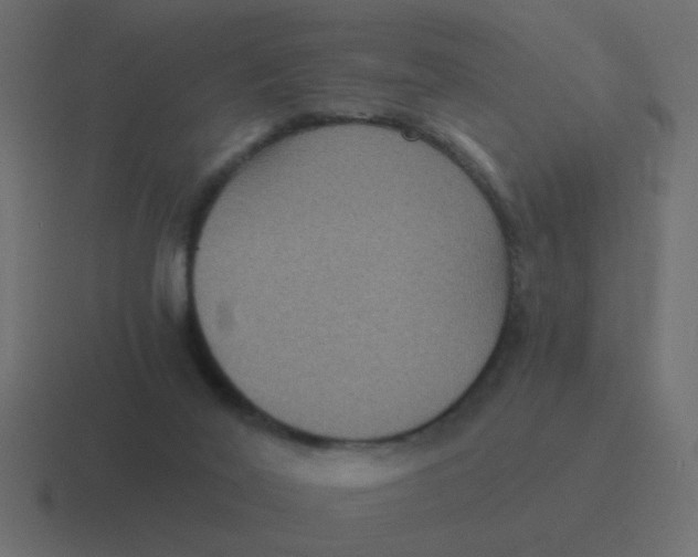 X0000116480020200912292055