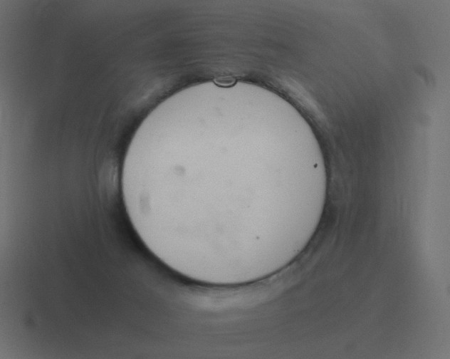 X0000116480021200912292055