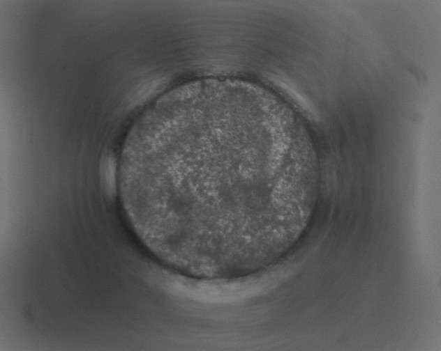 X0000116480022200912292055