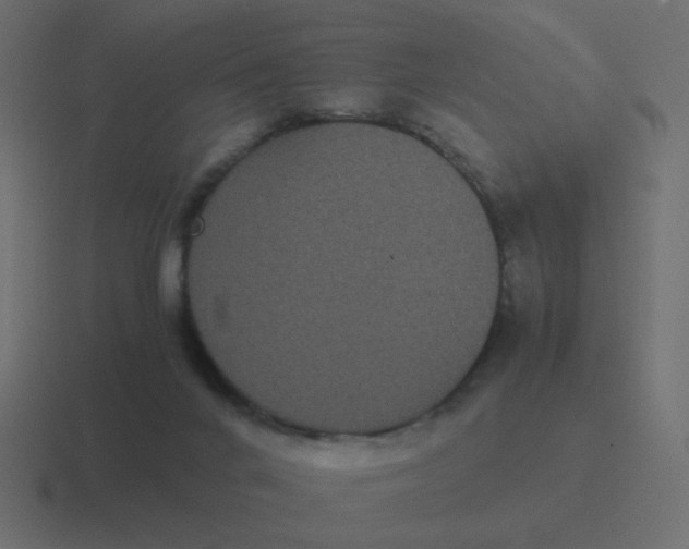 X0000116480024200912292055