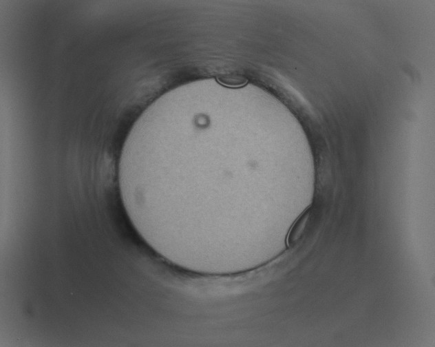 X0000116480025200912292055