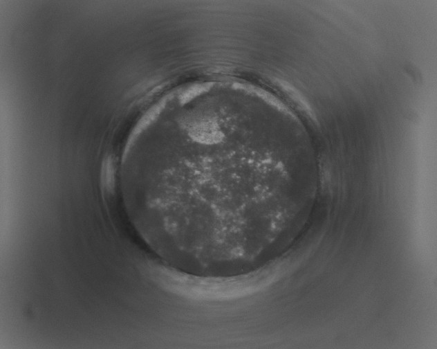 X0000116480026200912292055