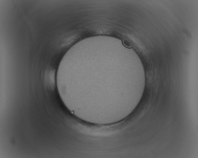 X0000116480028200912292055