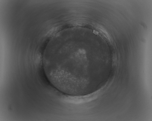 X0000116480029200912292055