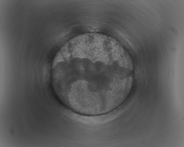 X0000116480030200912292055