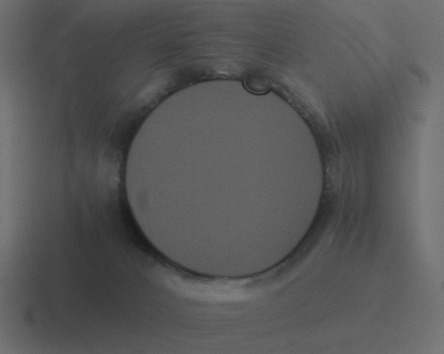 X0000116480032200912292055