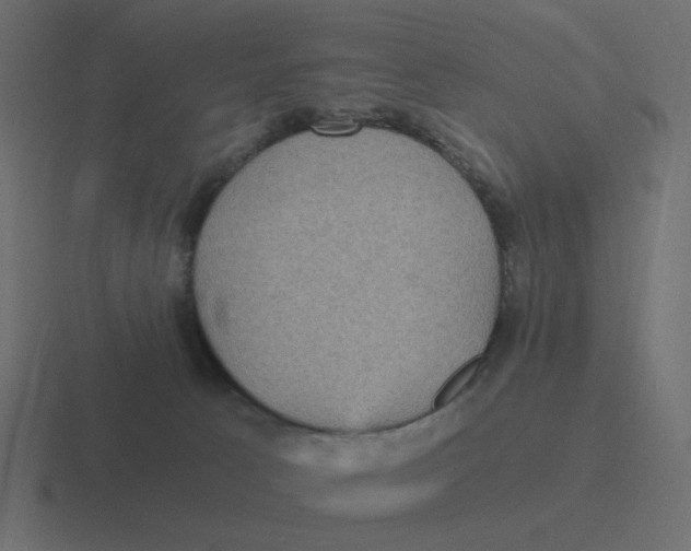 X0000116480033200912292055