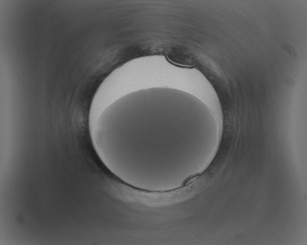 X0000116480039200912292054