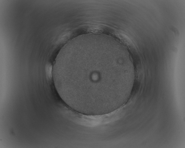 X0000116480041200912292054