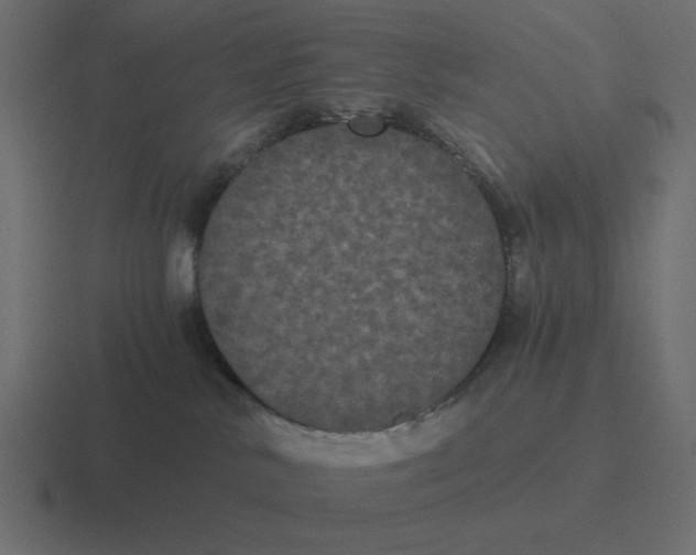 X0000116480042200912292054