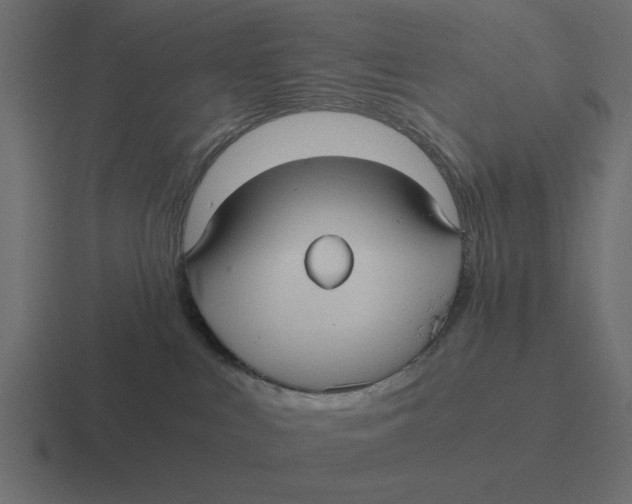 X0000116480043200912292054