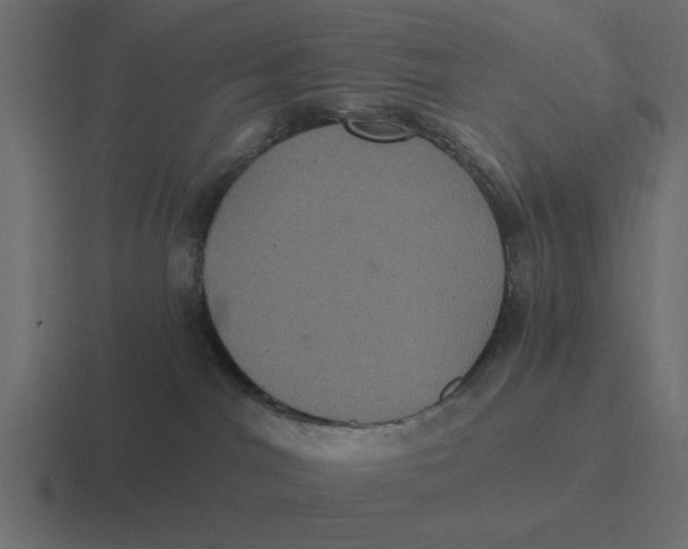 X0000116480044200912292054