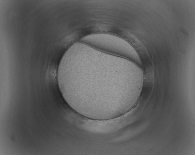 X0000116480045200912292054