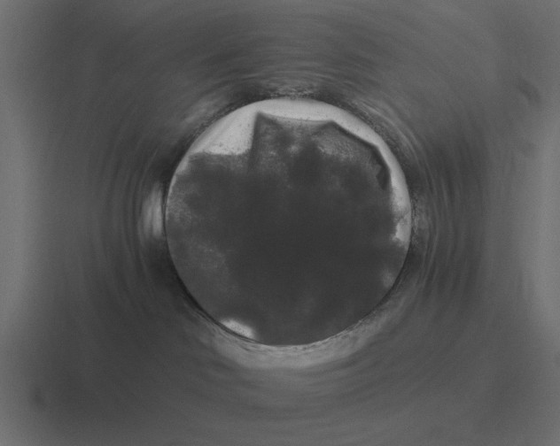 X0000116480046200912292054