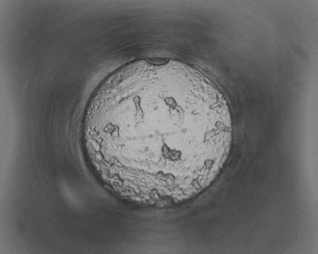 X0000116480049200912292054