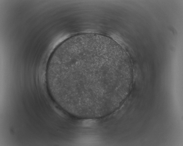 X0000116480050200912292054