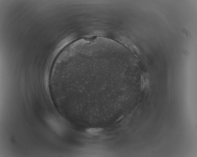 X0000116480051200912292054