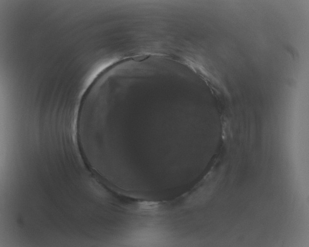 X0000116480052200912292054