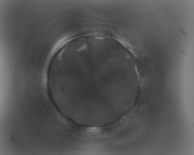 X0000116480053200912292054