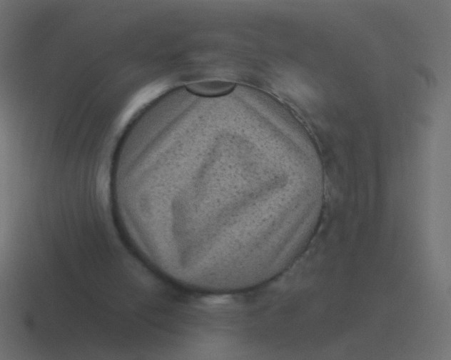 X0000116480054200912292054