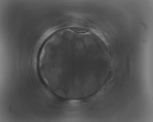 X0000116480055200912292054