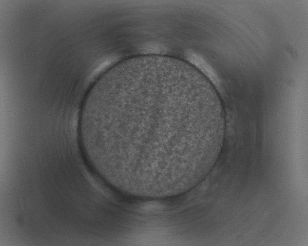 X0000116480058200912292054