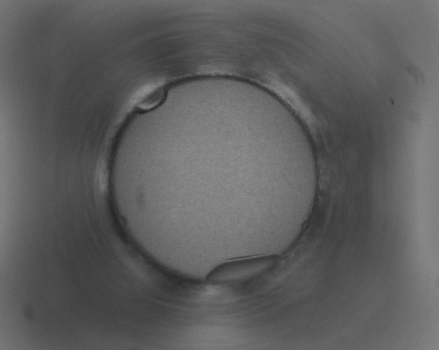 X0000116480060200912292054