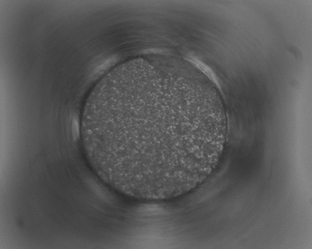 X0000116480061200912292054