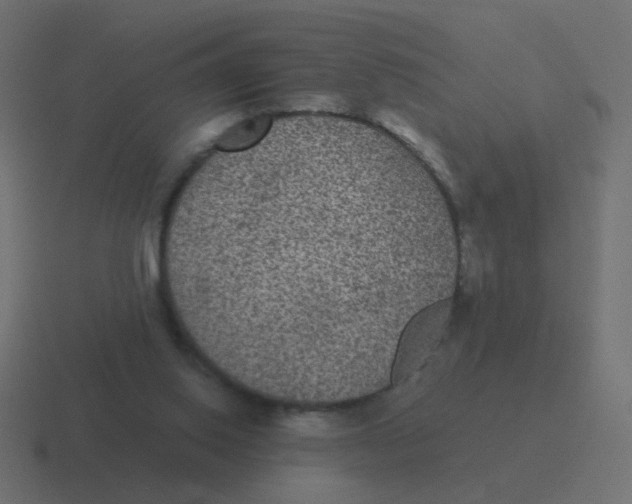 X0000116480062200912292054