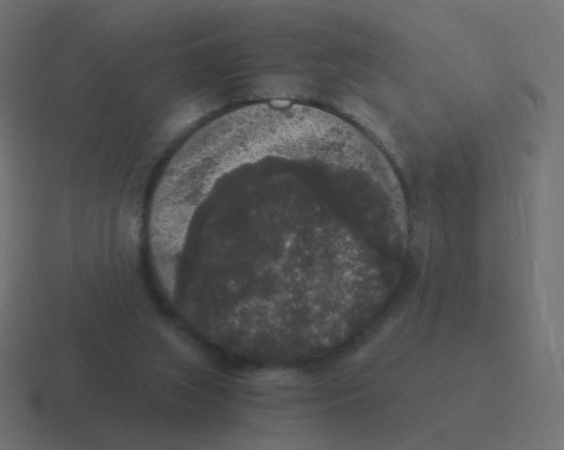 X0000116480063200912292054