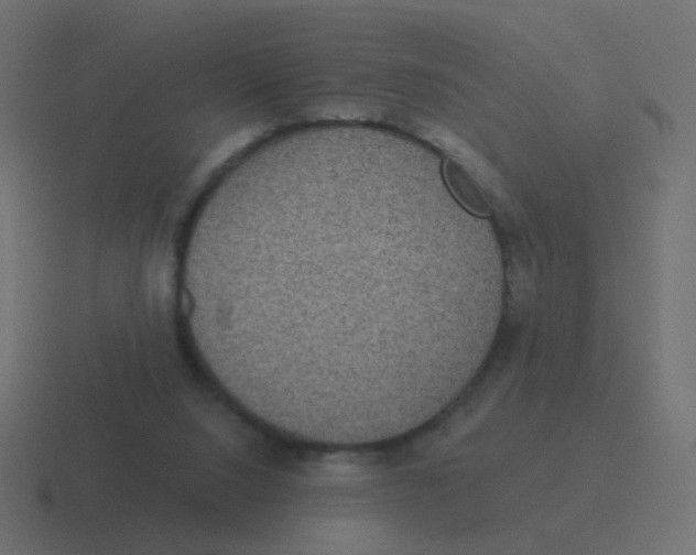 X0000116480064200912292054