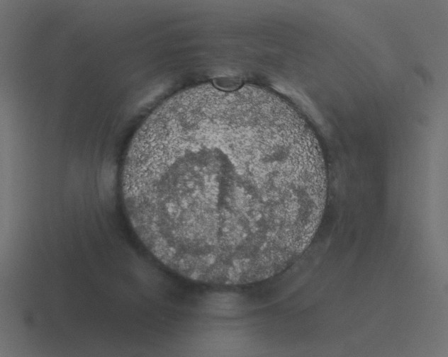 X0000116480066200912292054