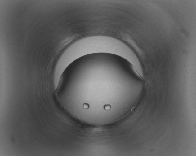 X0000116480068200912292054