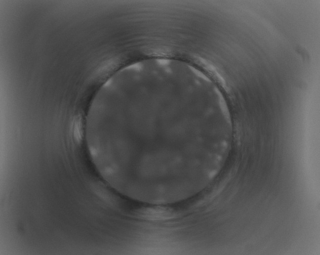 X0000116480069200912292054